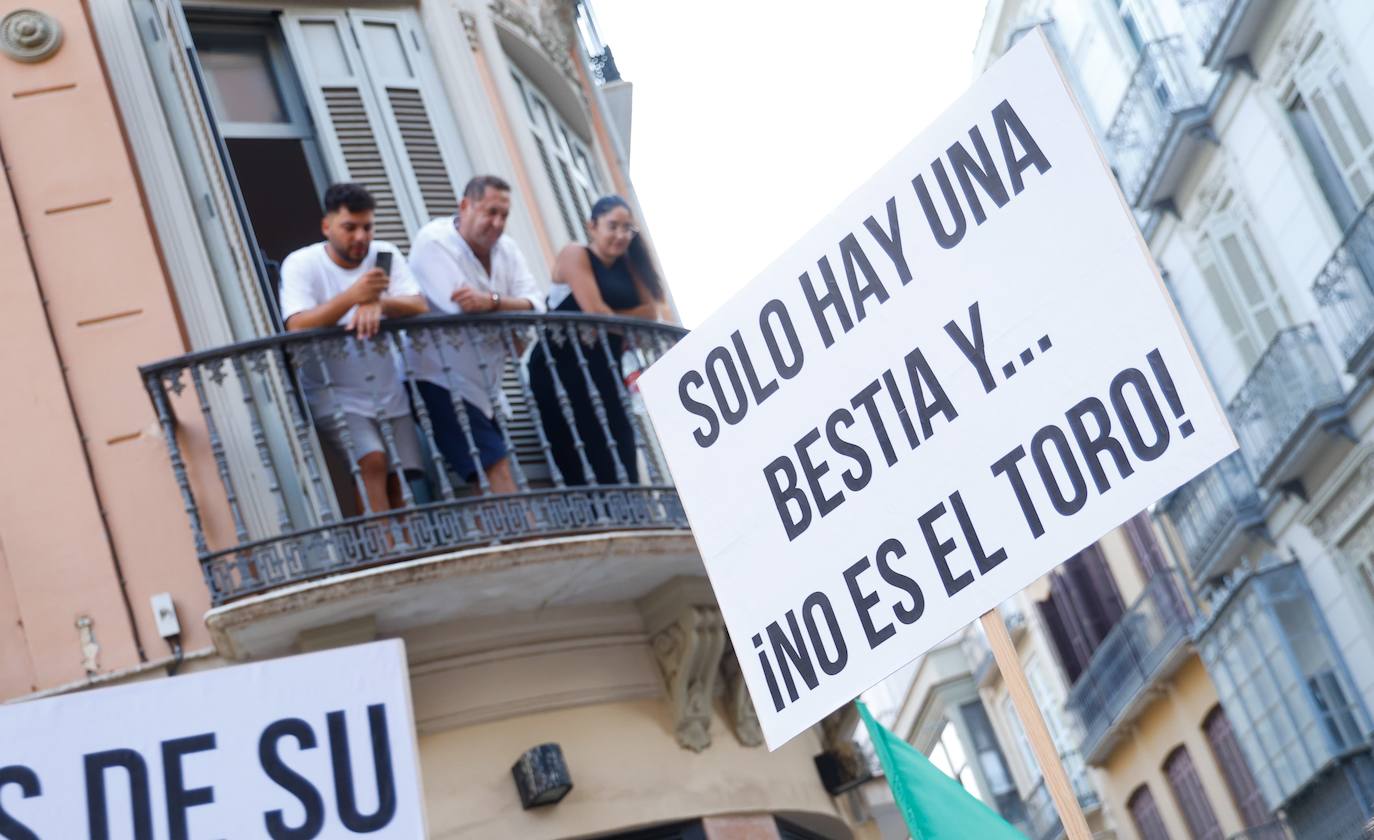 Manifestación &#039;Málaga Antitaurina&#039; organizada por PACMA