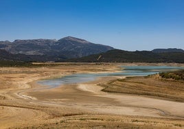 Foto tomada hace unos días en el embalse del Guadalteba, en la zona de cola.