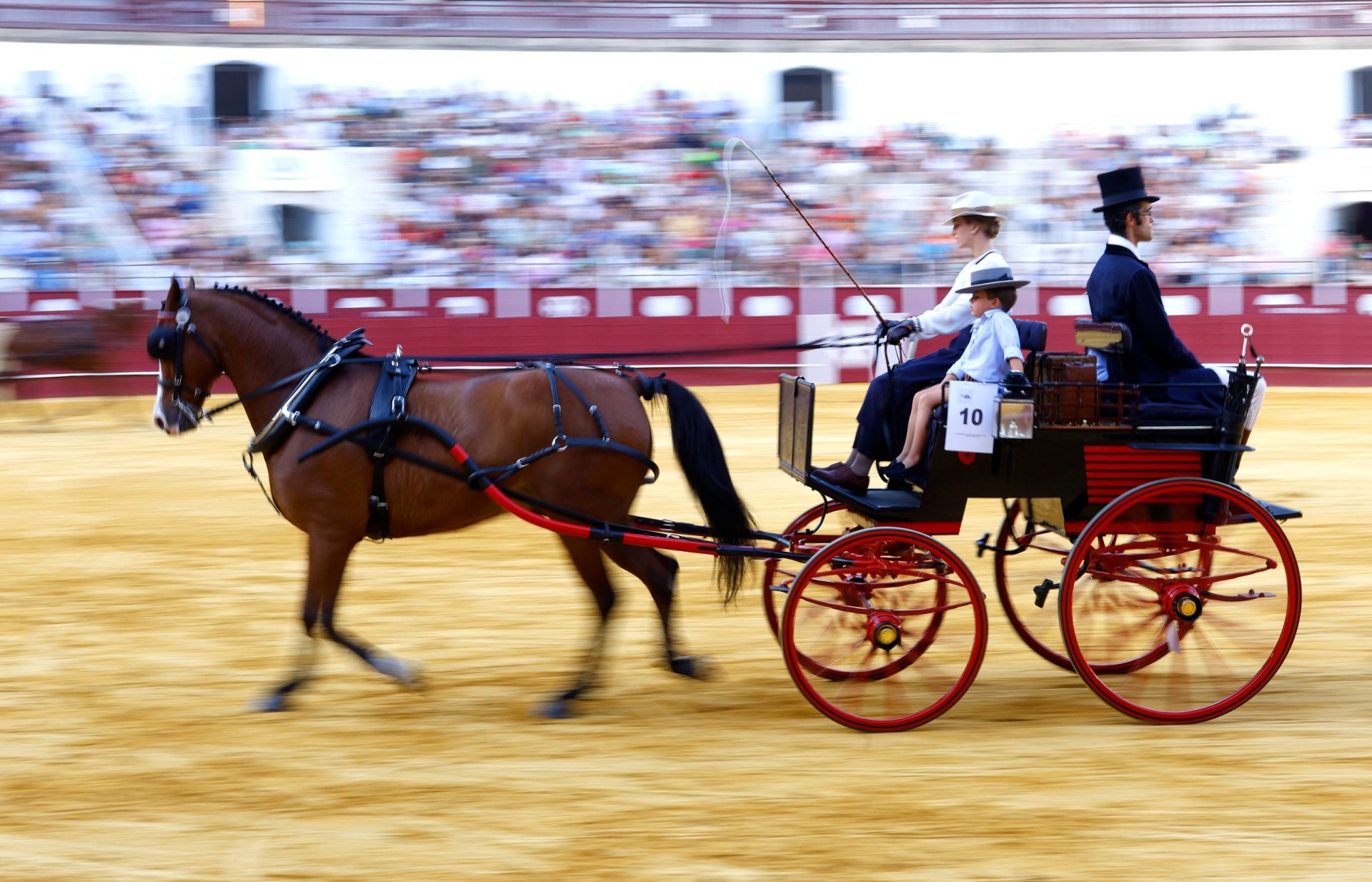 Concurso de Exhibición de Enganches de Caballos Ciudad de Málaga en La Malagueta