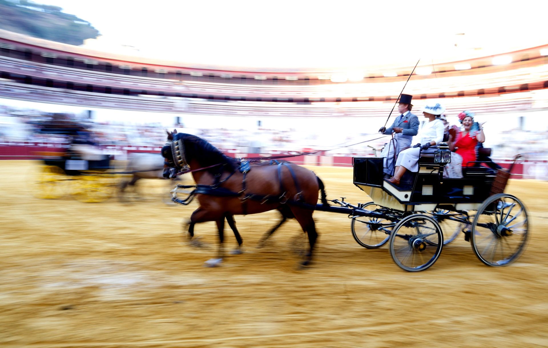 Concurso de Exhibición de Enganches de Caballos Ciudad de Málaga en La Malagueta