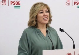 La portavoz de Agricultura socialista en el Parlamento de Andalucía, Ana Romero