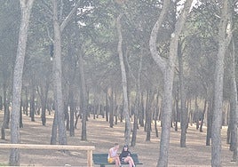 Jóvenes conversan en el área recreativa de Los Pinares.