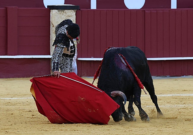 Pedro de la Hermosa, de la Escuela Taurina de Guadalajara, durante su faena al cuarto novillo de la tarde.