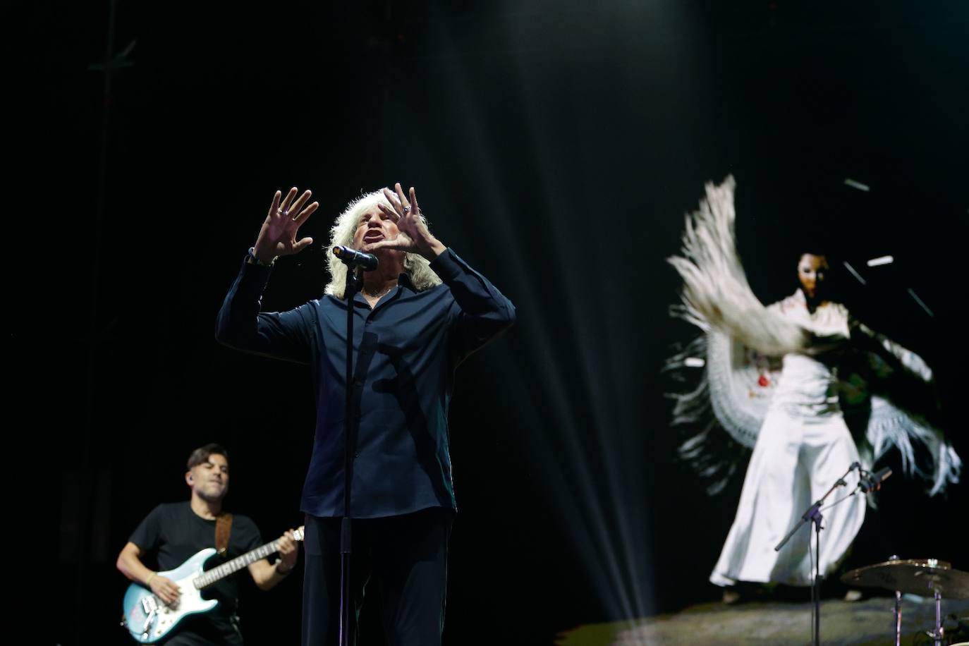 Noche flamenca en la Feria de Málaga