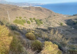 Imagen de los terrenos de Calaceite, donde se han previsto unas 4.000 nuevas viviendas, un campo de golf y un puerto deportivo.