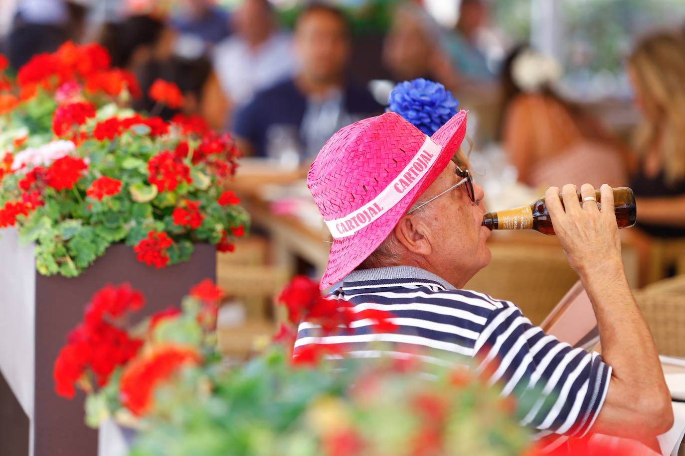 Las mejores fotos de la Feria de Málaga del jueves 22 de agosto