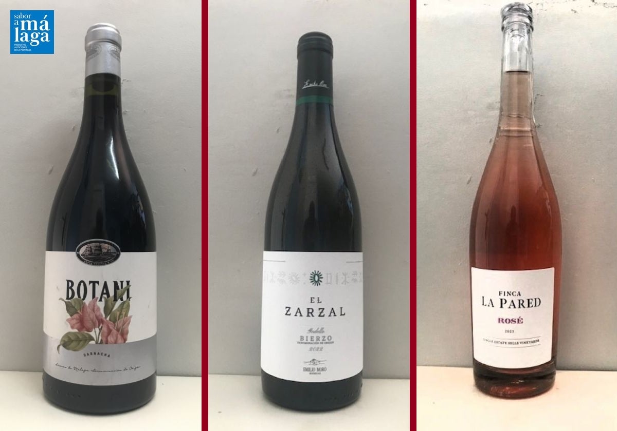 Los vinos recomendados en la cuarta semana de agosto