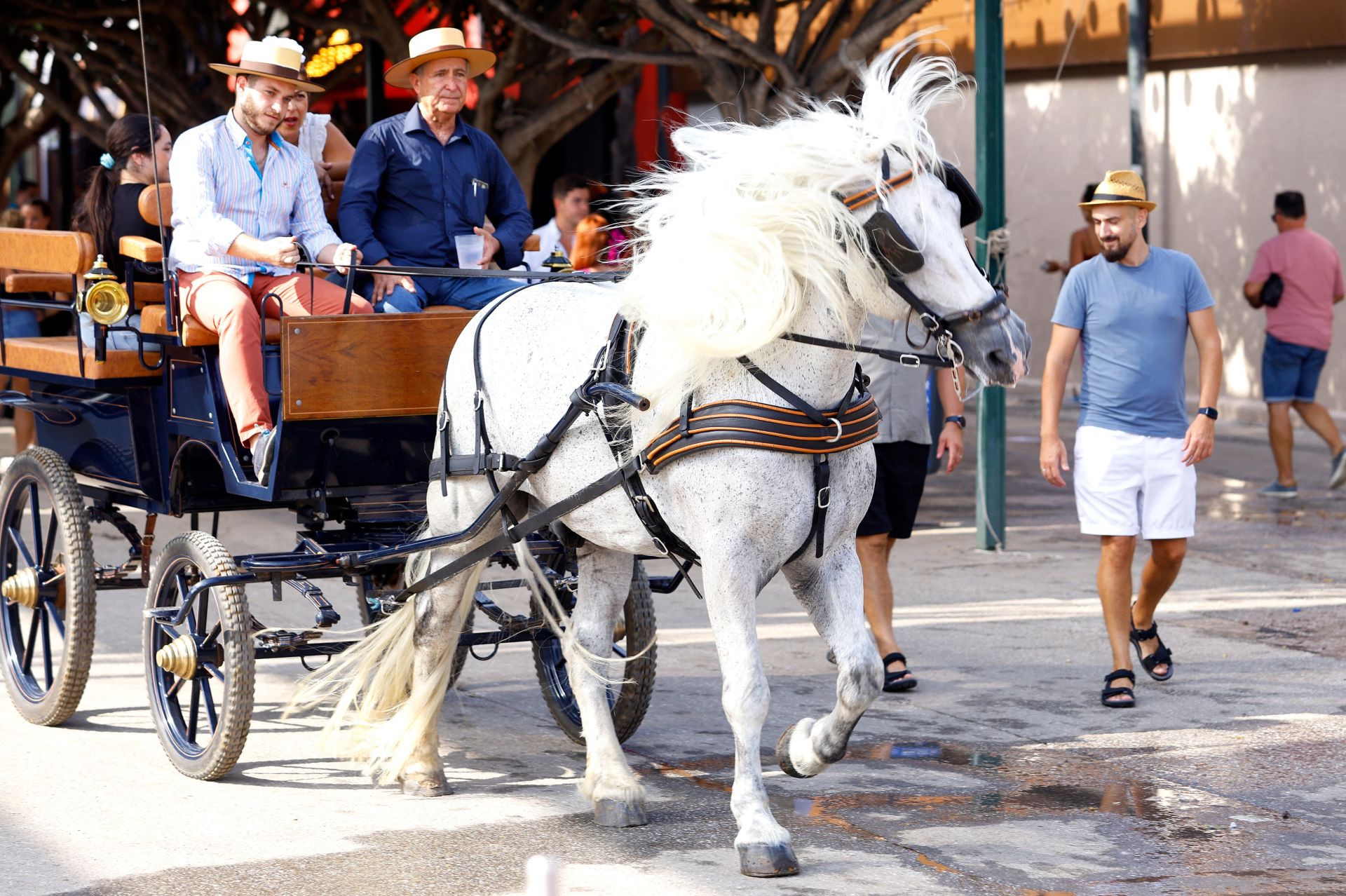 Las mejores fotos del viernes 23 en la Feria de Málaga