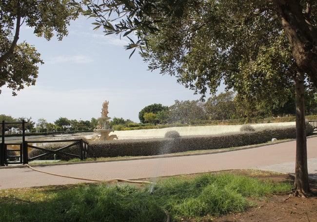 Agua captada con una goma directamente del lago para regar un jardín y un árbol cercano.