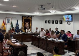 Pleno en el Ayuntamiento de Mijas.