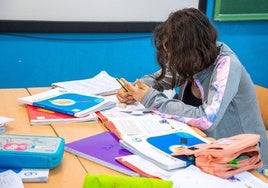 Más de 175.000 alumnos malagueños estrenarán libros de texto en el curso 2024-25