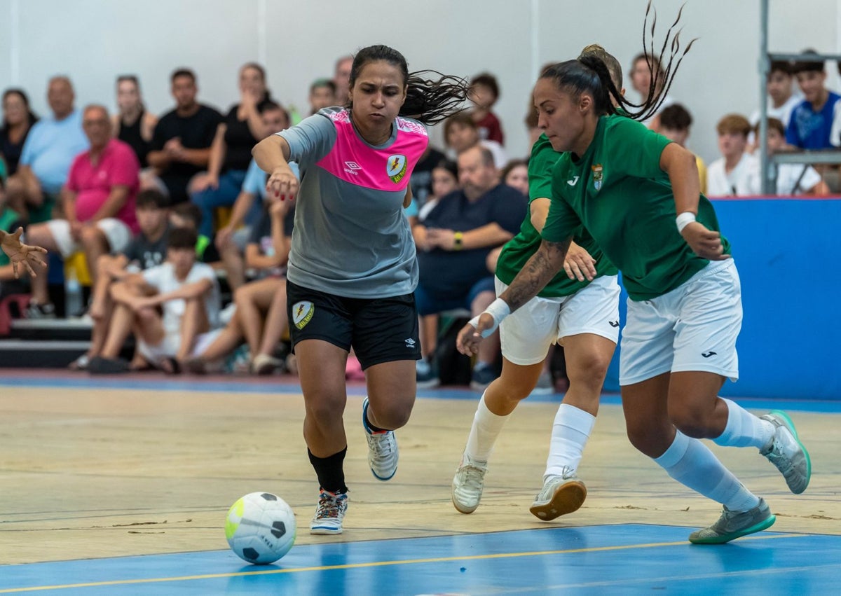 Imagen secundaria 1 - El Nueces de Ronda Atlético Torcal levanta su cuarta Copa de Andalucía consecutiva