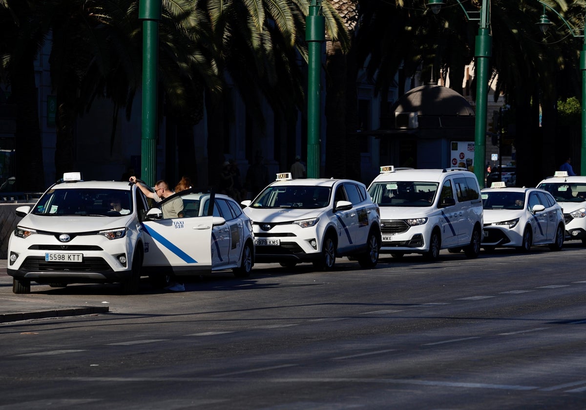 Taxistas en una parada de la capital malagueña.