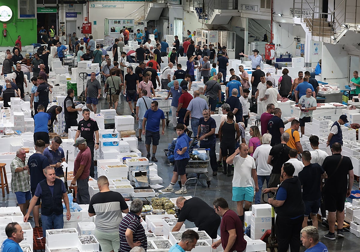 Imagen principal - Más imágenes del interior de Mercamálaga. 