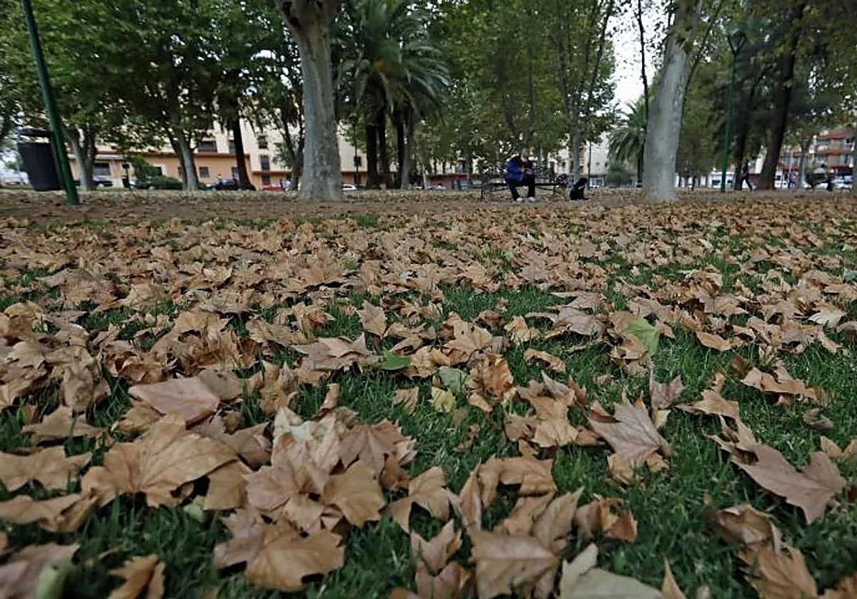 ¿Qué tiempo hará este otoño en Andalucía? La Aemet contesta