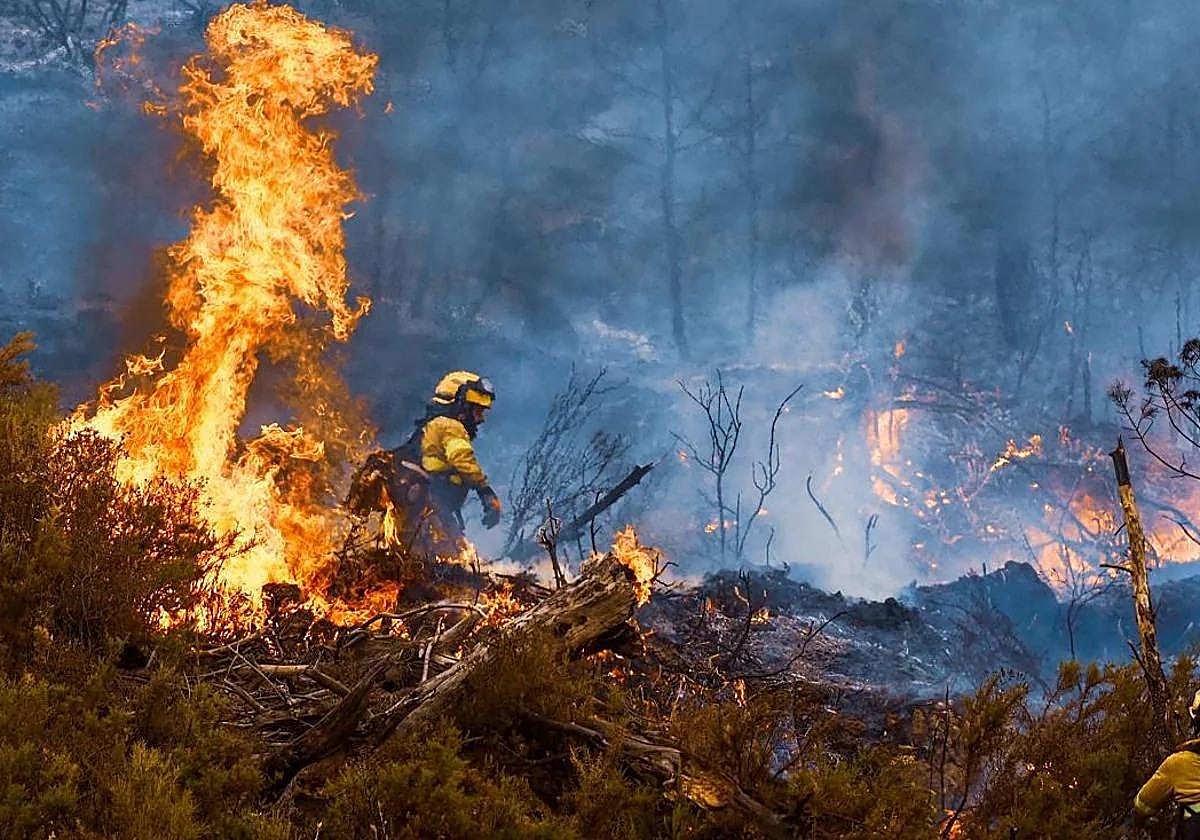Las hectáreas afectadas por incendios forestales en Andalucía, inferiores a la media de la década