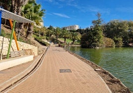 Vista del entorno del lago en el Parque de la Paloma.