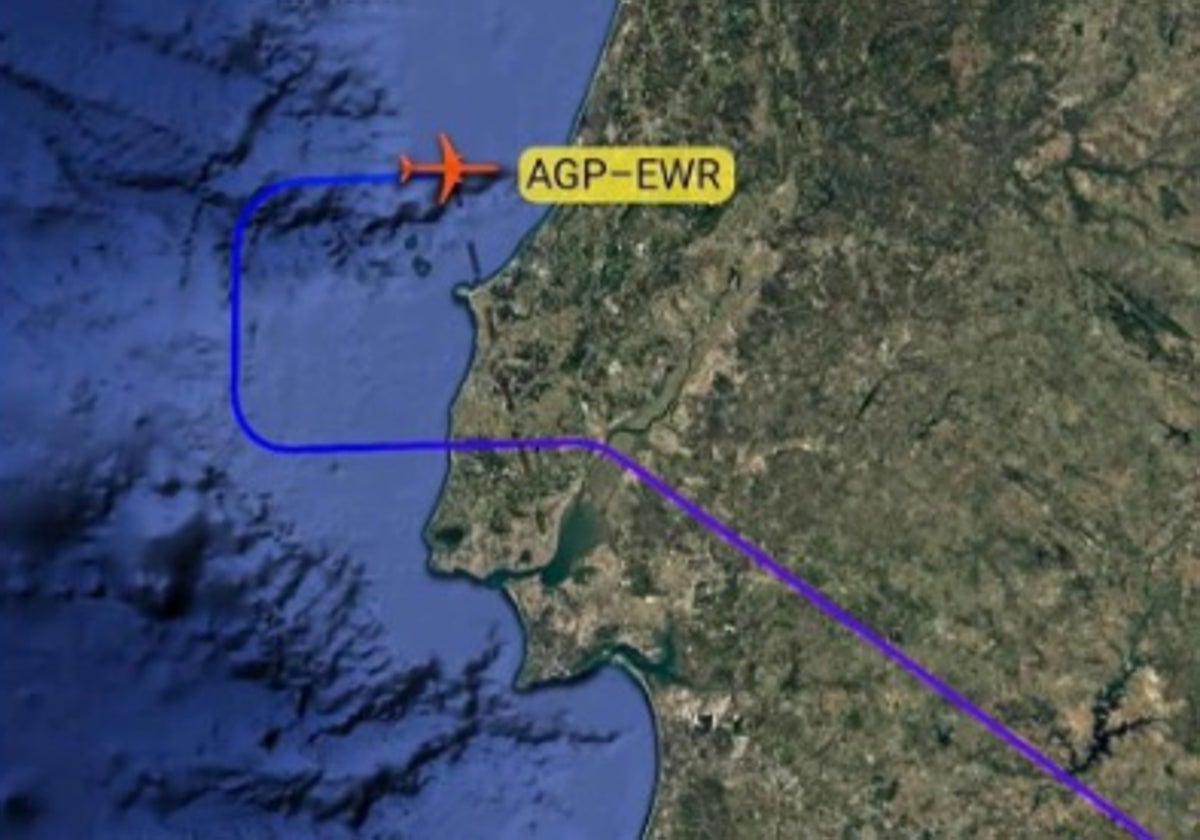 Imagen de Flightradar en la que se ve la trayectoria del avión.