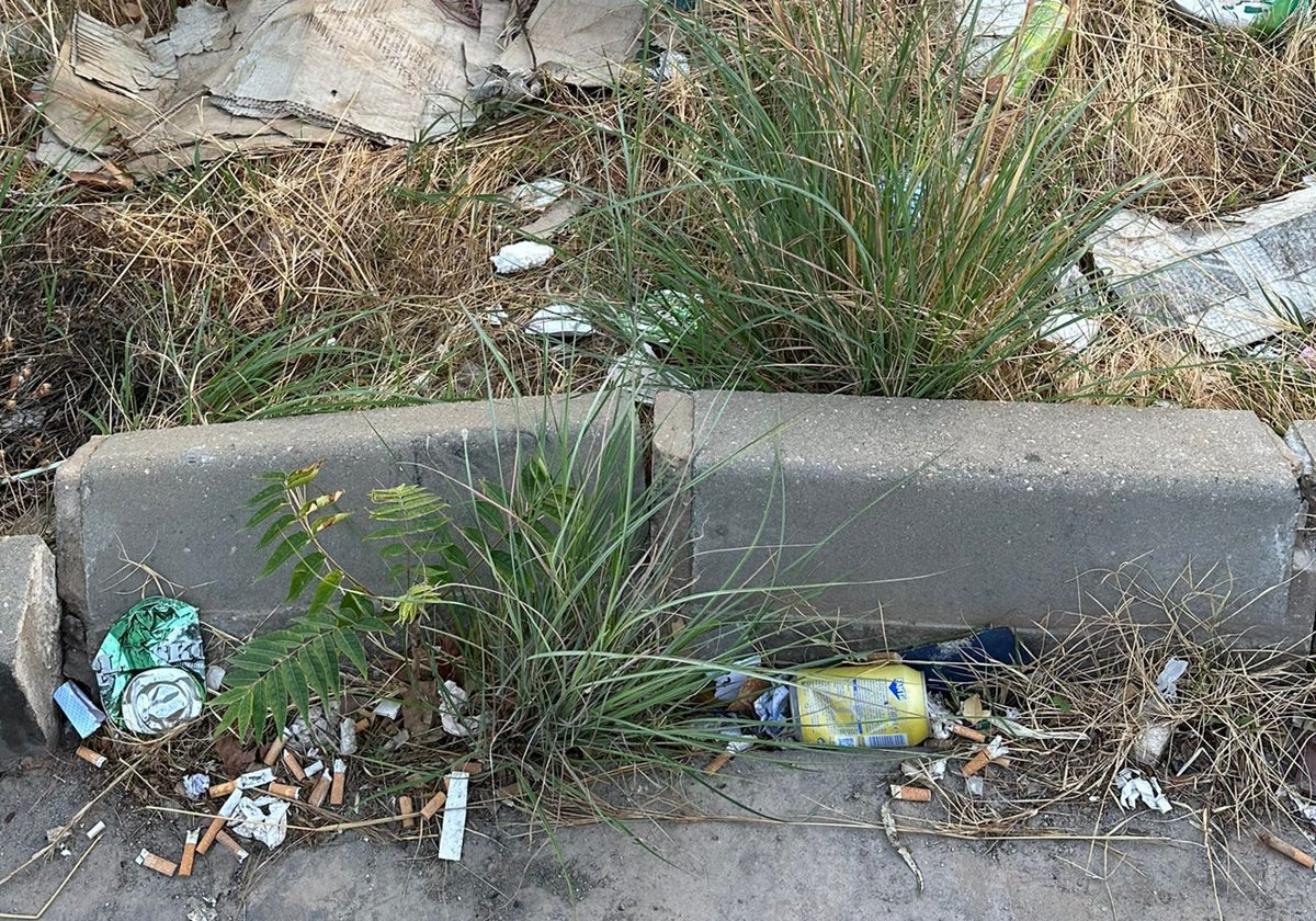 Vista de la basura acumulada en los aledaños del aparcamiento.