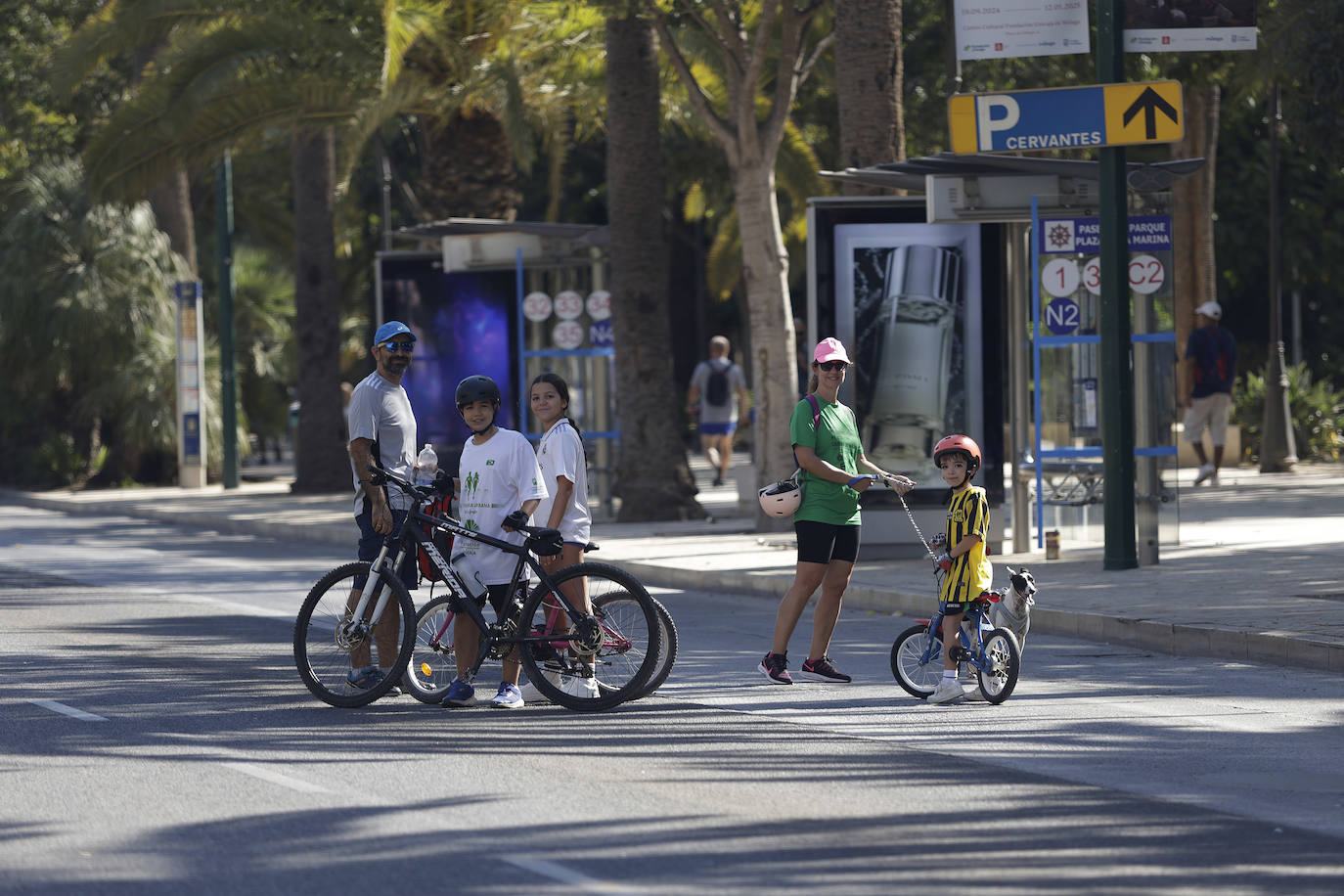 Bicicletada durante el Día Sin Coches en Málaga