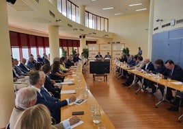 Reunión del consejera de Industria, Jorge Paradela, y la CEA.