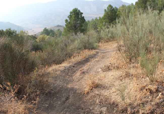 Punto por donde hay que dejar el carril para caminar por un sendero más estrecho