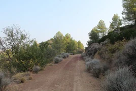 Este sendero es idóneo para disfrutar de los primeros días del otoño