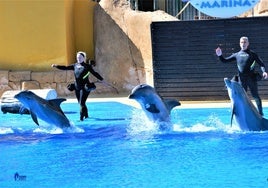 Actividades en Selwo Marina, en Benalmádena.