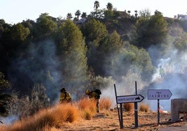 Bomberos actuando en la zona del siniestro este sábado.