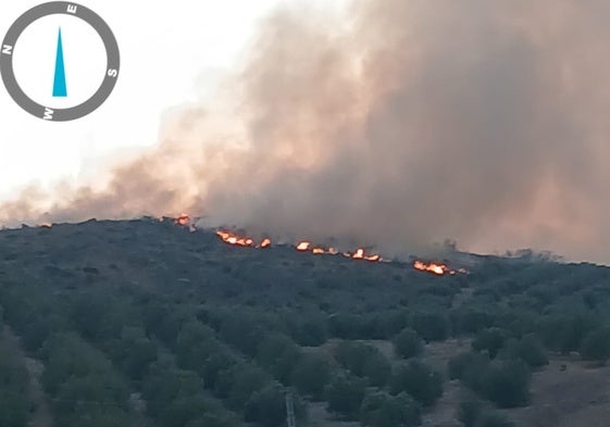 Imagen de las llamas en la zona de Alcaucín y Periana, este sábado.