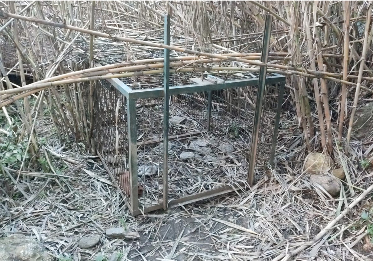 Capturaderos instalados en puntos estratégicos del término municipal.