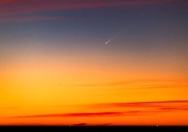 El usuario '@objtormentas' ha captado al cometa desde Málaga, como muestra en su cuenta en X.