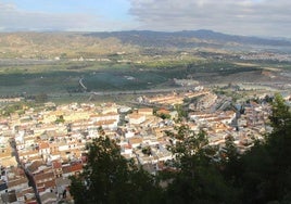 Vista de Cártama.