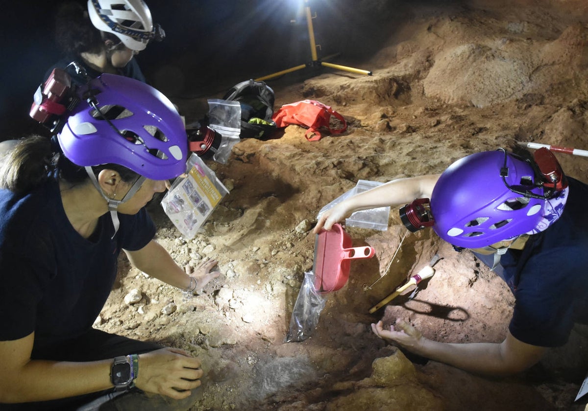 Muestreo arqueológico en la Sala de las Conchas de la Cueva de la Victoria.