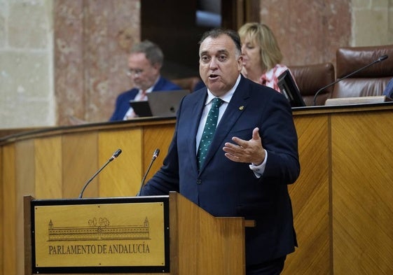 Bernal, en su comparecencia en el pleno del Parlamento andaluz.