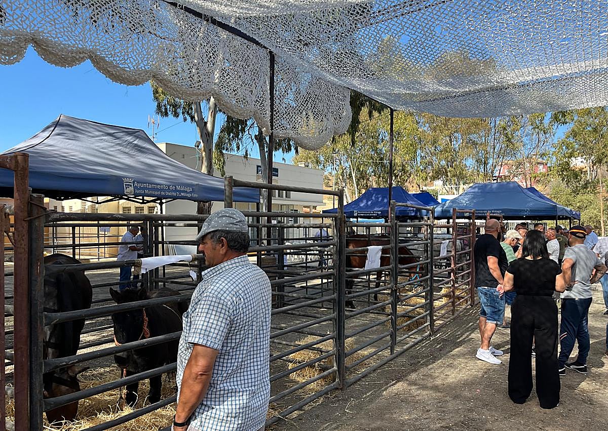 Imagen secundaria 1 - Tradición y pasión ecuestre en la XX Feria de Ganado de Málaga