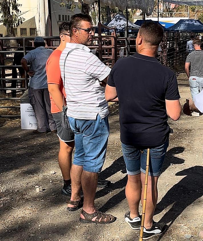 Imagen secundaria 2 - Tradición y pasión ecuestre en la XX Feria de Ganado de Málaga