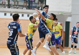 Polideportivo malagueño: Victorias del Trops Málaga en un fin de semana de duelos complicados