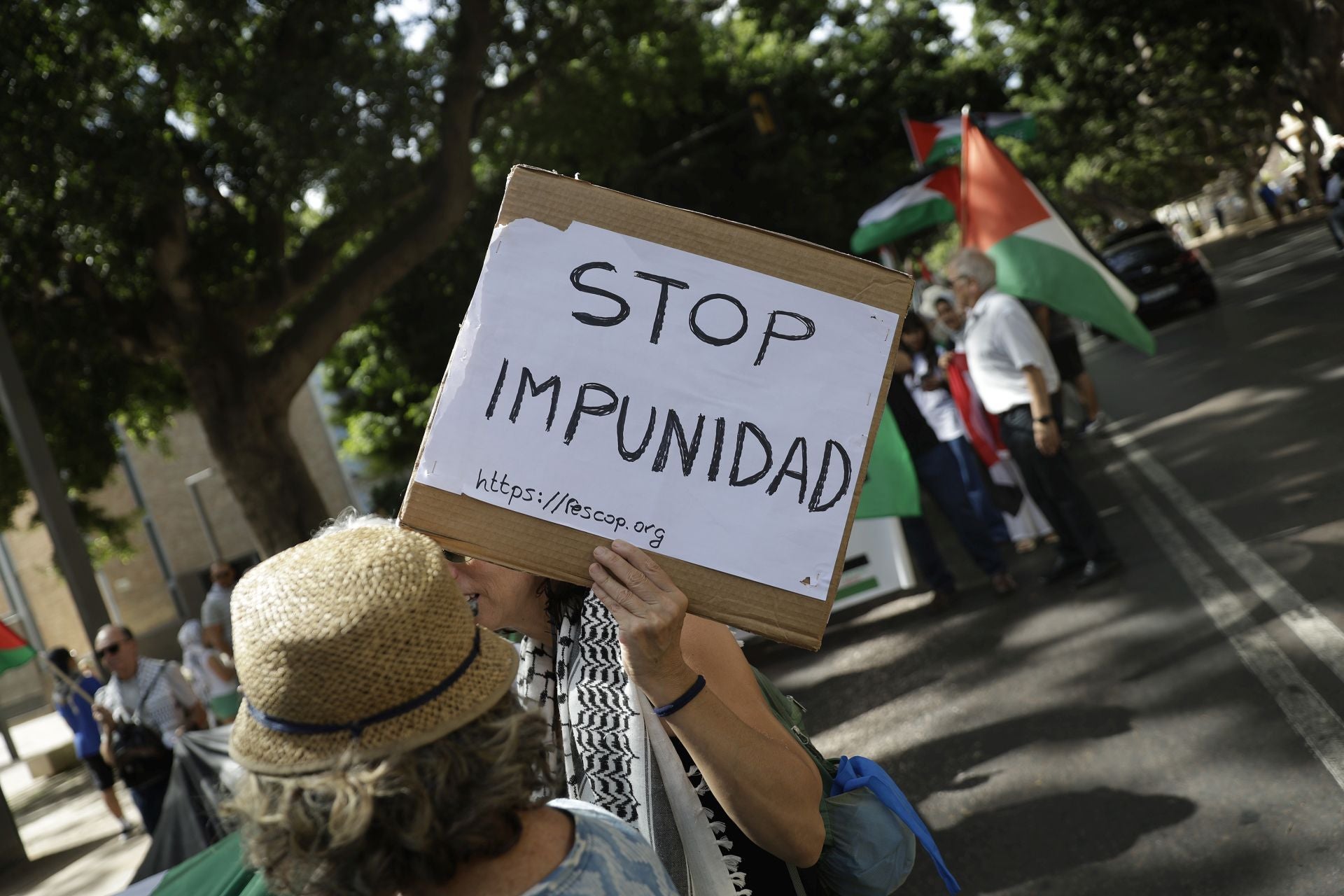 Más de mil personas salen a la calle en Málaga para pedir la paz en Palestina