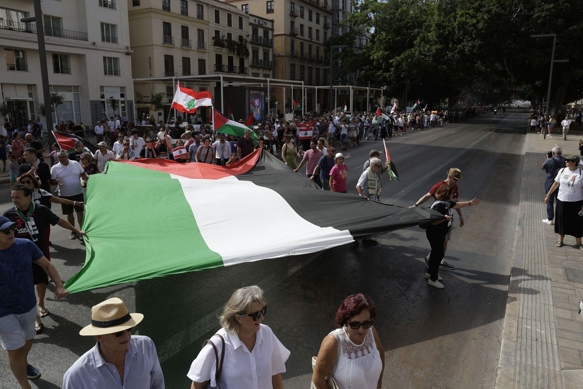 Más de mil personas salen a la calle en Málaga para pedir la paz en Palestina