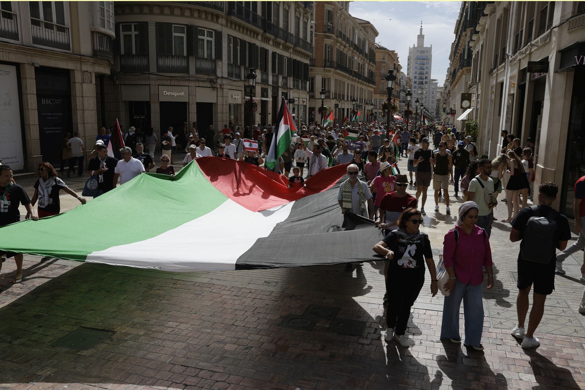 Más de mil personas salen a la calle en Málaga para pedir la paz en Palestina