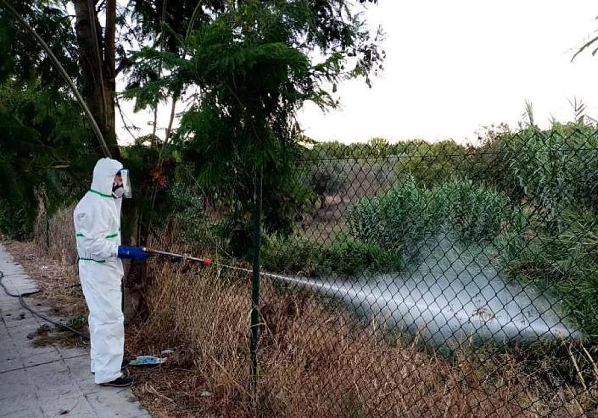 Andalucía confirma una nueva muerte por Virus del Nilo