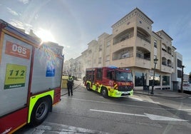 Efectivos de Bomberos, Protección Civil y de la Policía Local, este martes, actuando en el incendio de Nerja.