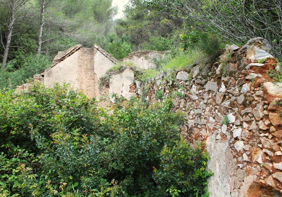 Imagen principal - La ermita de los Monjes, el santuario escondido en los bosques de Marbella