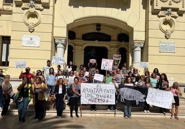 Animalistas se oponen al disparo con arco a los jabalíes y plantean alternativas: desde esterilizar a usar orina de lobo de repelente