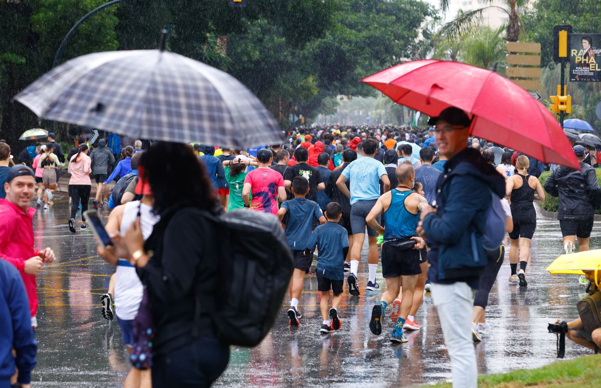 Las mejores imágenes de la Carrera Urbana Ciudad de Málaga de 2024