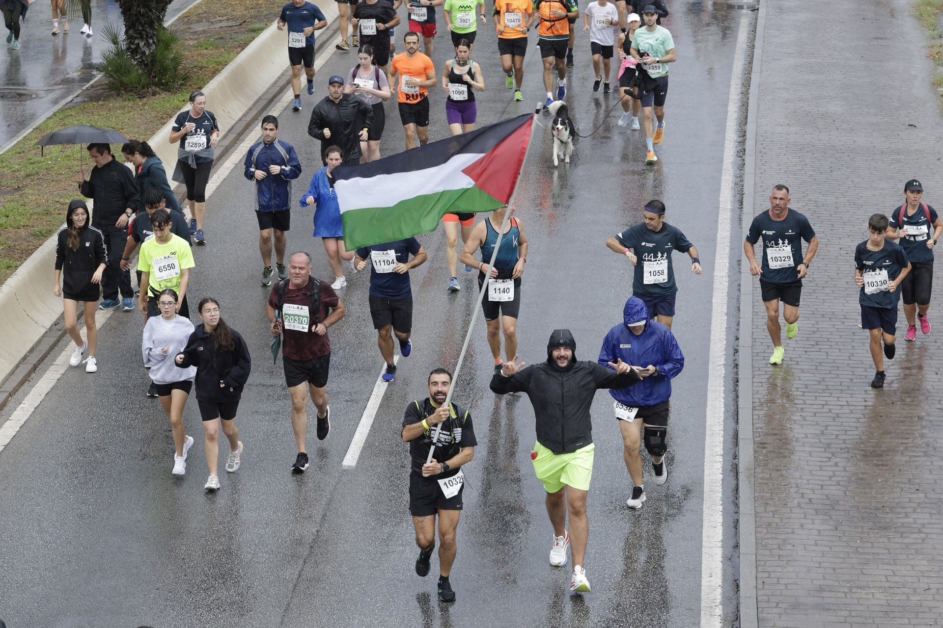 Las mejores imágenes de la Carrera Urbana Ciudad de Málaga de 2024