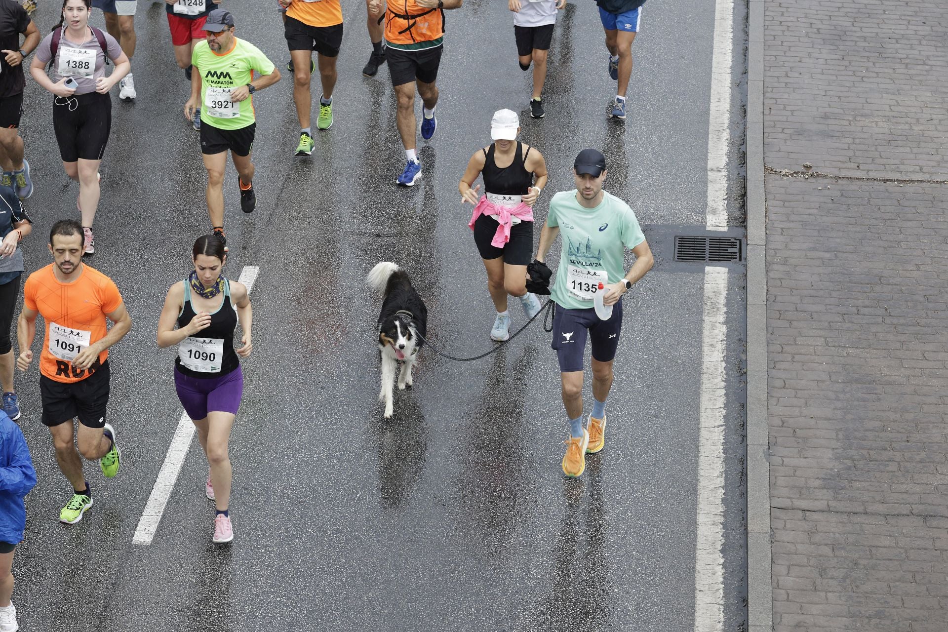 Las mejores imágenes de la Carrera Urbana Ciudad de Málaga de 2024