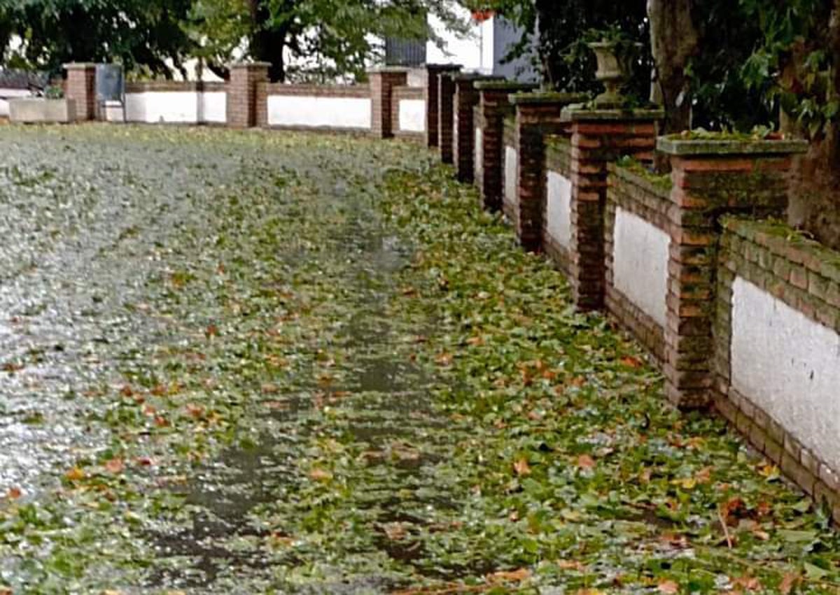 Imagen secundaria 1 - Tres imágenes de los efectos de la granizada caída este pasado sábado por la tarde en Alfarnate.