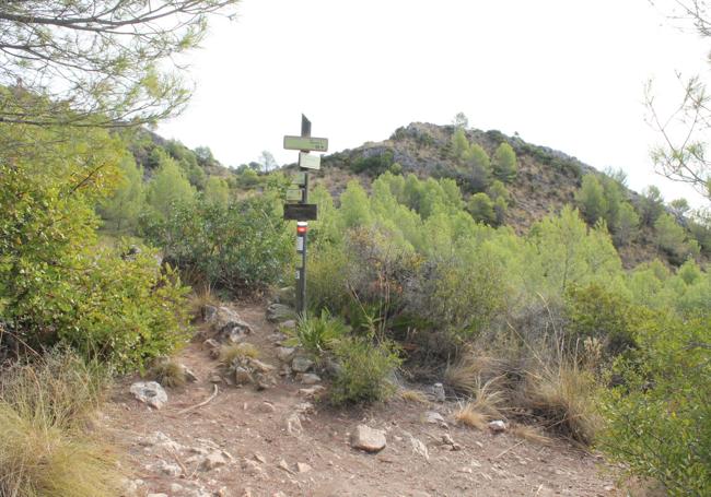 Enclave conocido como el puerto del Acebuche.